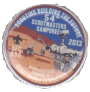 2013 hat pin