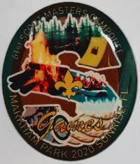 2020 pin